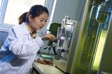 Investigación y desarrollo